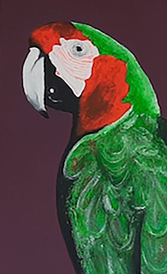 SALOME-E-IL-PAPPAGALLO-DETT1-low